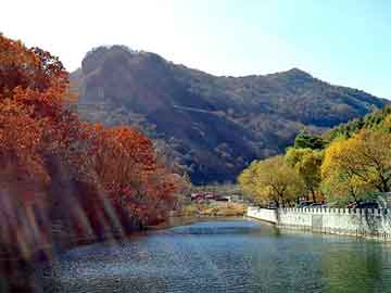 澳门二四六天天彩图库，站群服务